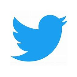 twitter account management company